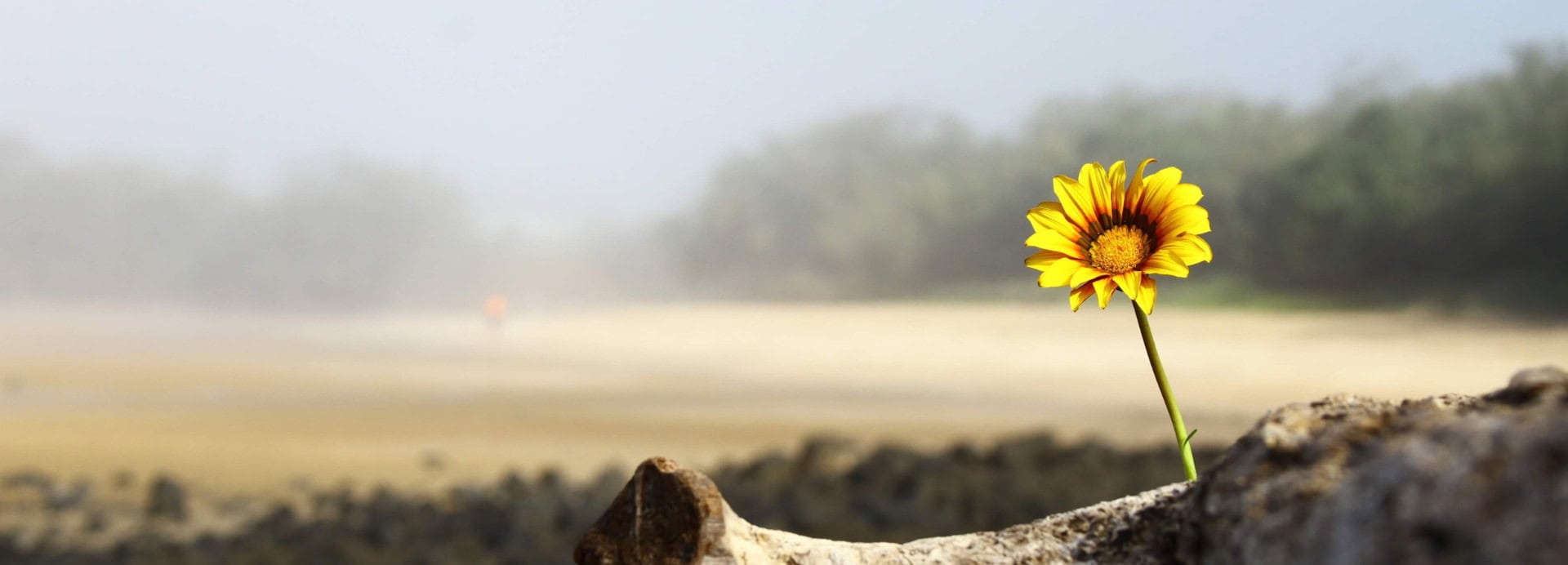 Thanking God Before the Miracle Comes